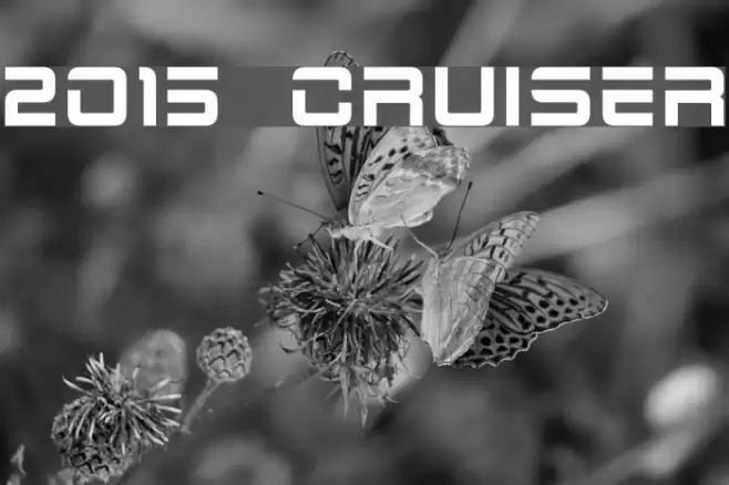2015 Cruiser Fuentes examples