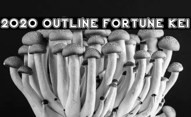 2020 Outline Fortune Kei Schriftart examples