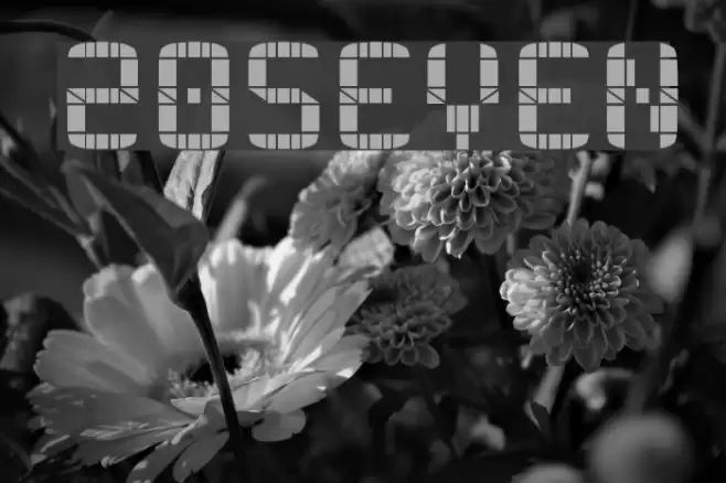 20SEVEN Font examples