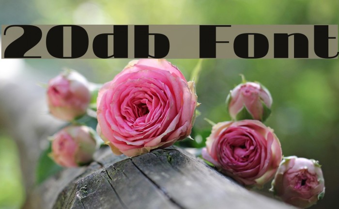 20db Fonte examples