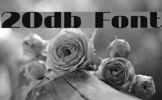 20db Font examples