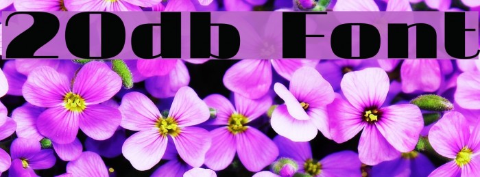 20db Font examples