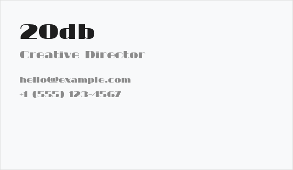 20db Business Card
