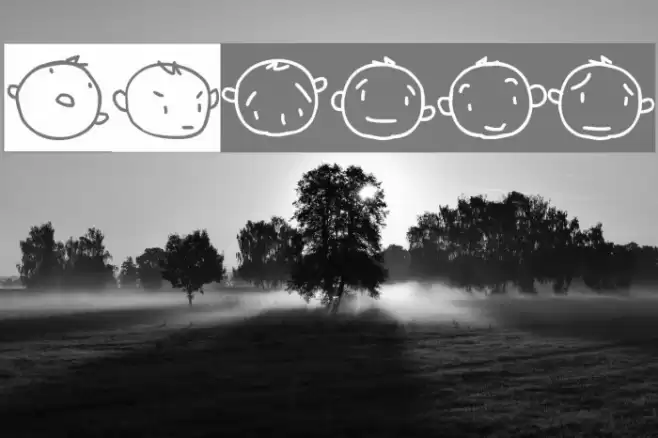 20faces Polices examples