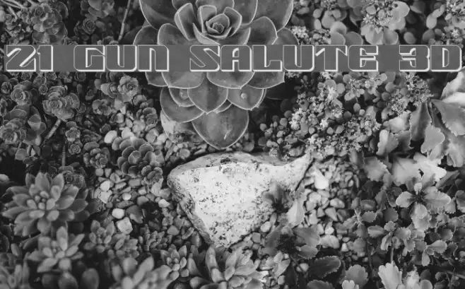 21 Gun Salute 3D Font examples