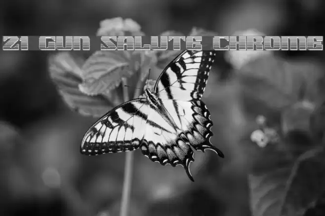 21 Gun Salute Chrome Font examples