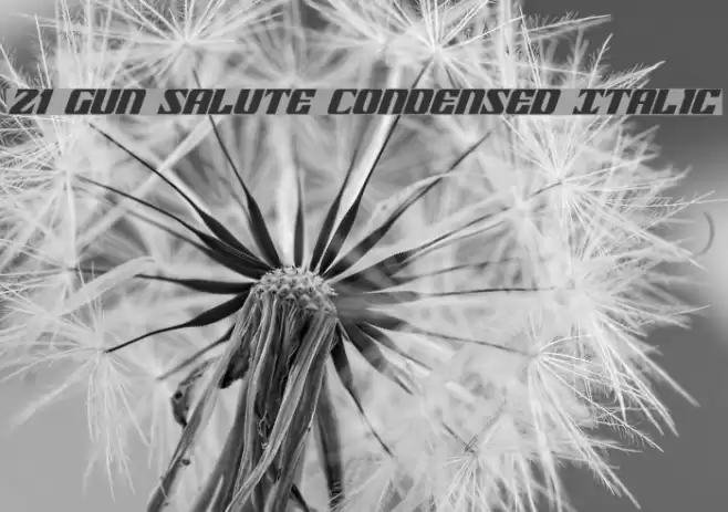 21 Gun Salute Condensed Italic Font examples