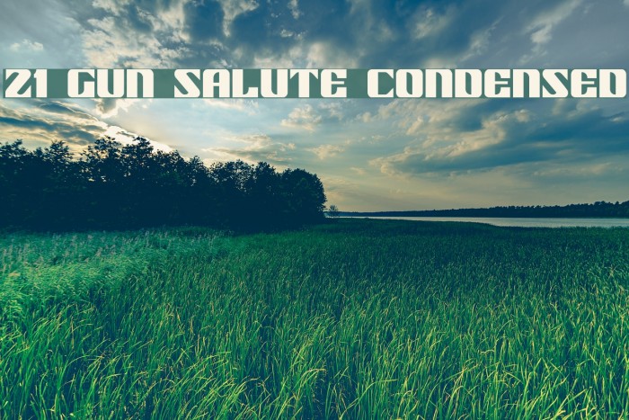 21 Gun Salute Condensed Fonte examples