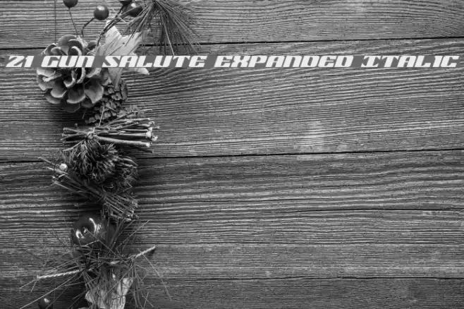 21 Gun Salute Expanded Italic Font examples