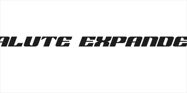 21 Gun Salute Expanded Italic Logo