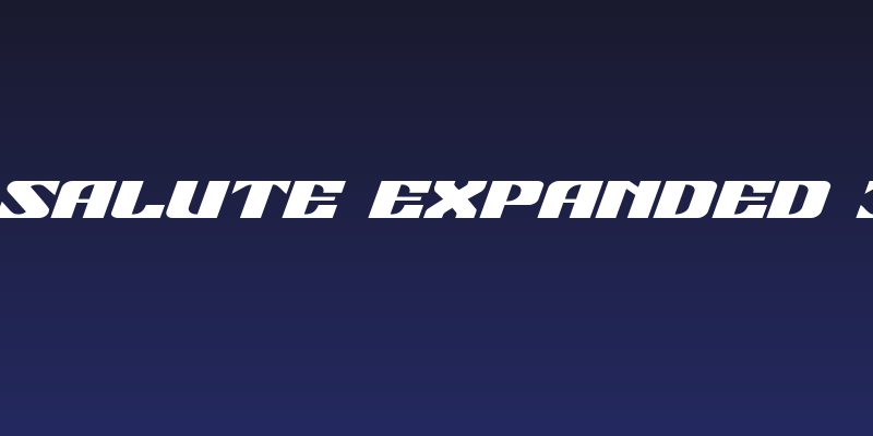 21 Gun Salute Expanded Italic Social Header