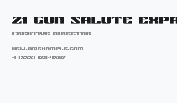 21 Gun Salute Expanded Business Card