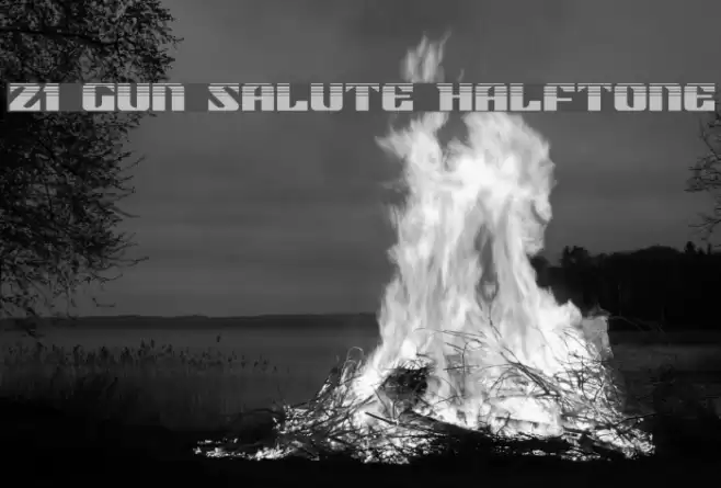 21 Gun Salute Halftone Fonte examples
