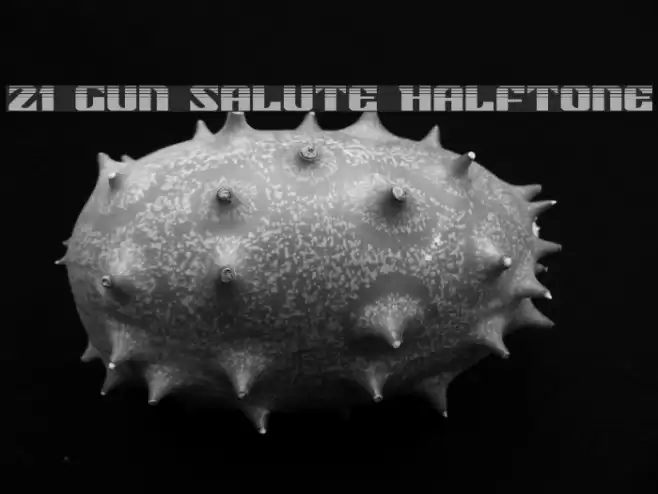 21 Gun Salute Halftone Fonte examples