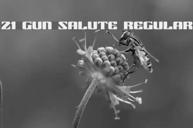 21 Gun Salute Regular Font examples