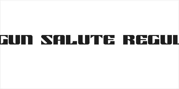 21 Gun Salute Regular Logo