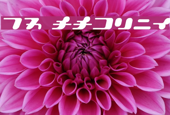 21 KanaOblique फ़ॉन्ट examples