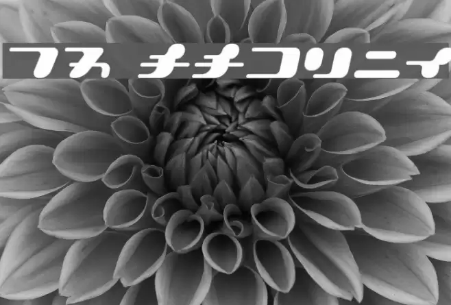 21 KanaOblique Font examples