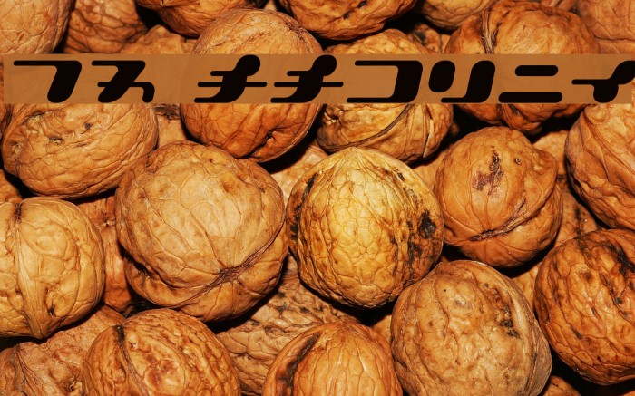 21 KanaOblique फ़ॉन्ट examples
