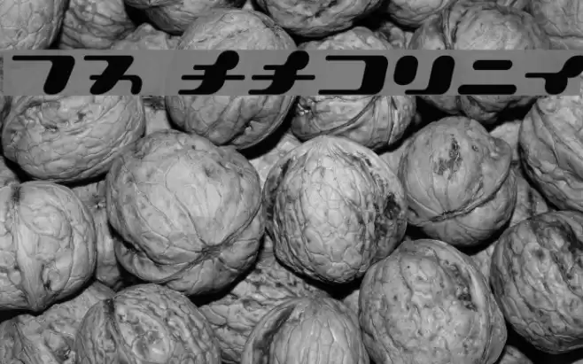 21 KanaOblique Font examples