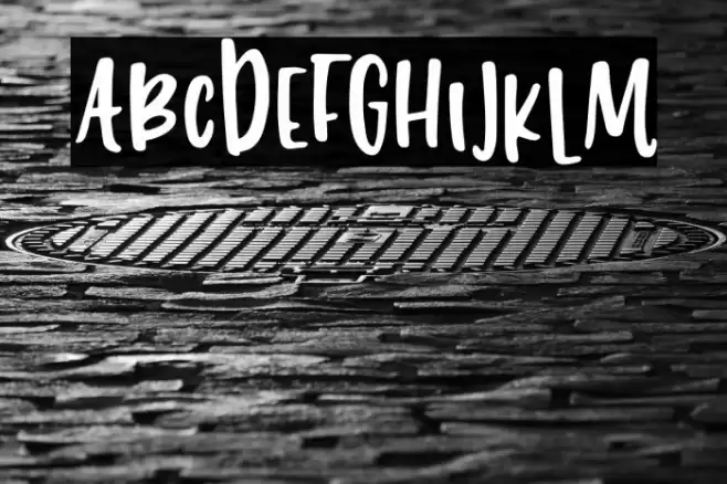 212 Phoenix Sans Font examples