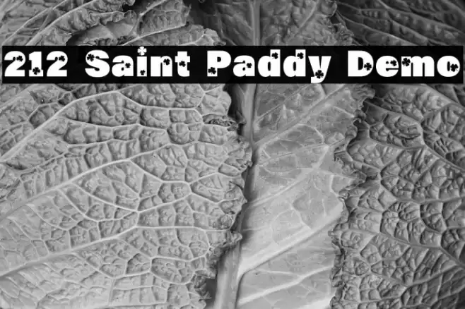 212 Saint Paddy Demo Fonte examples