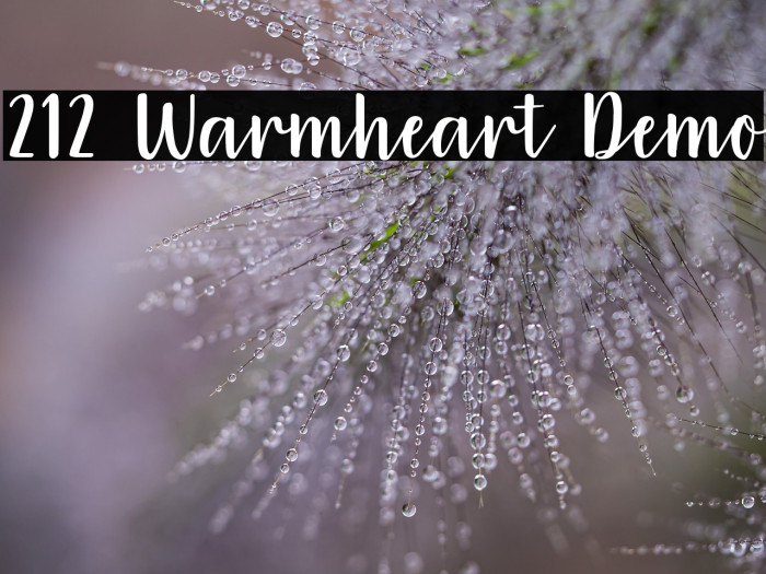 212 Warmheart Demo Example 2