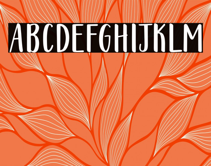 212 Warmheart Sans PERSONAL USE Example 2