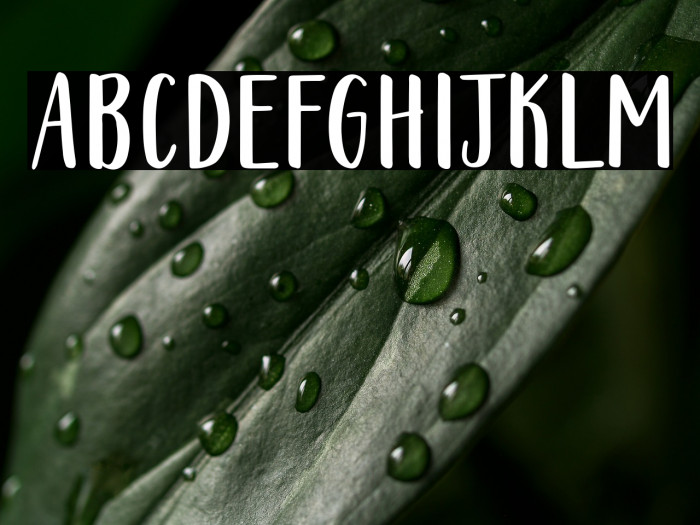 212 Warmheart Sans PERSONAL USE Example 3