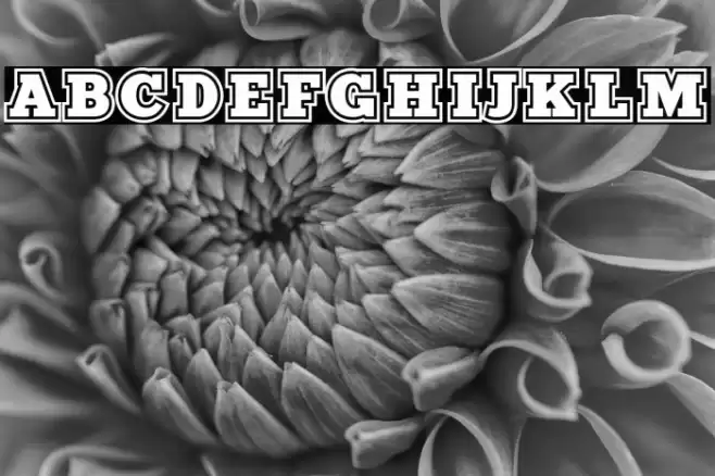 212Sports Font examples