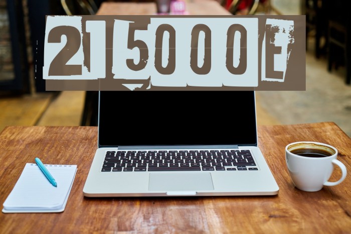 215000E フォント examples
