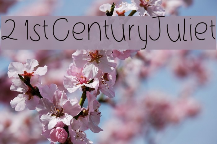 21stCenturyJuliet Fonte examples