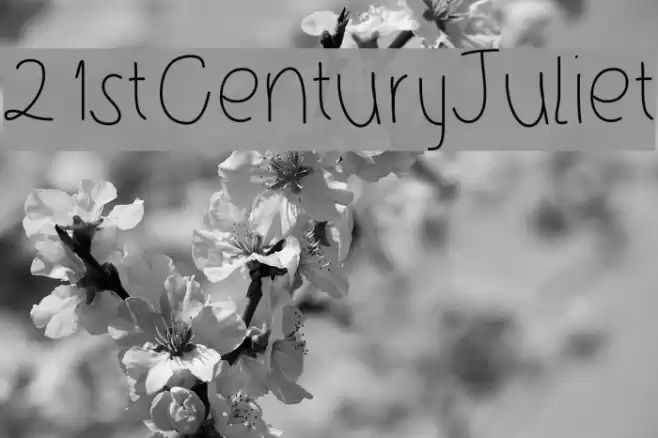 21stCenturyJuliet Font examples