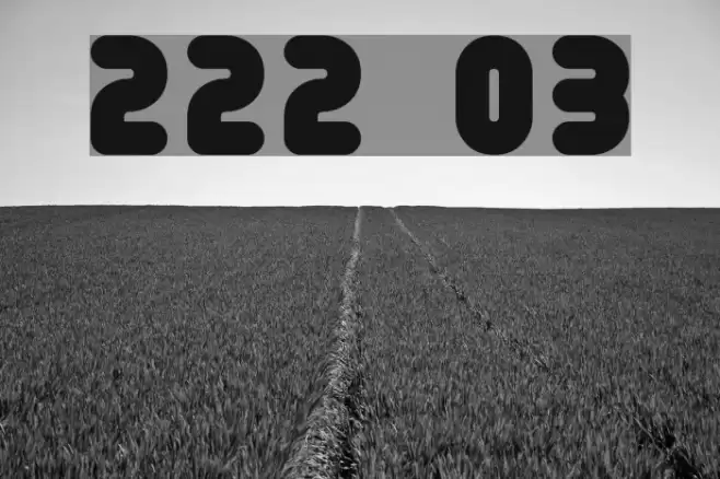 222 03 Шрифта examples