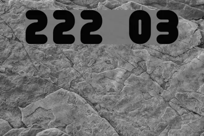 222 03 Шрифта examples