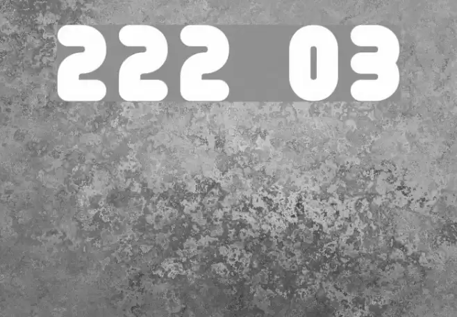 222 03 Шрифта examples
