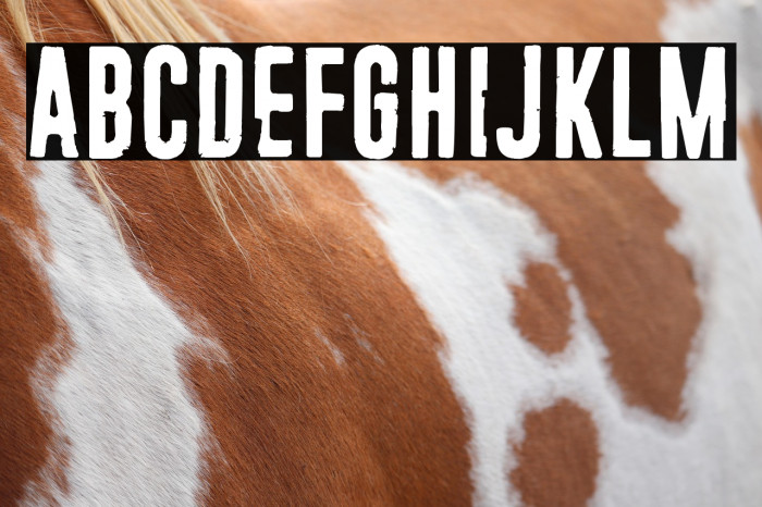 23 Orbiteye Example 1