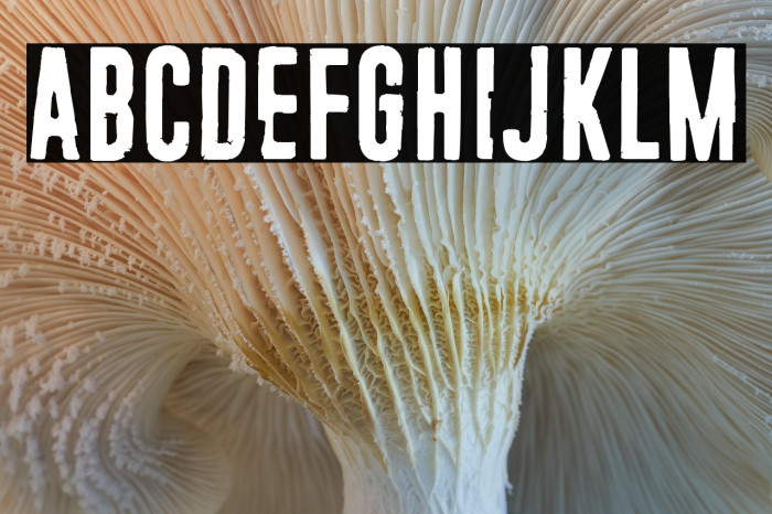 23 Orbiteye Example 3