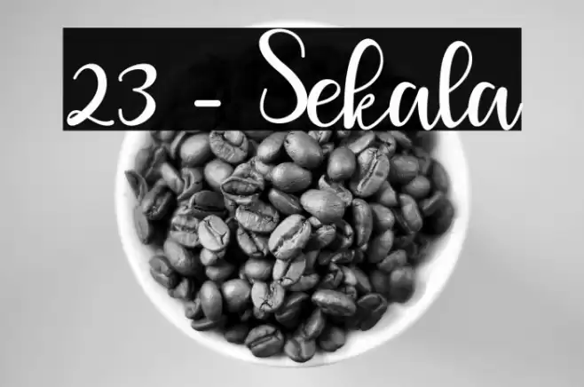 23 - Sekala Font examples