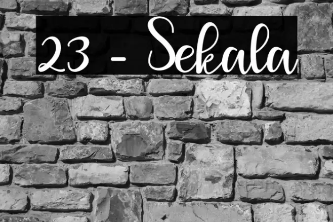 23 - Sekala Font examples