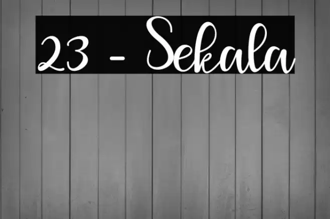 23 - Sekala Font examples