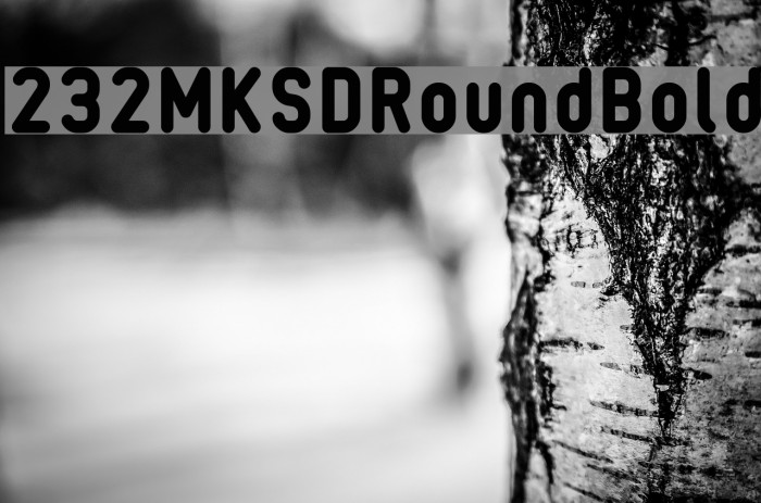 232MKSDRoundBold Example 1