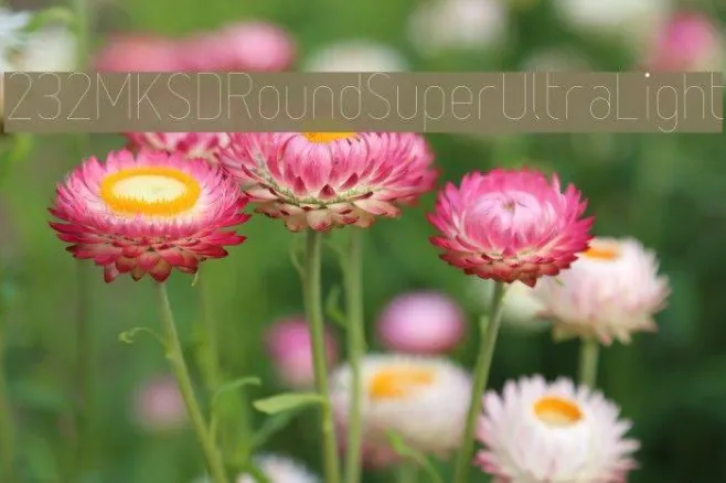 232MKSDRoundSuperUltraLight Example 3
