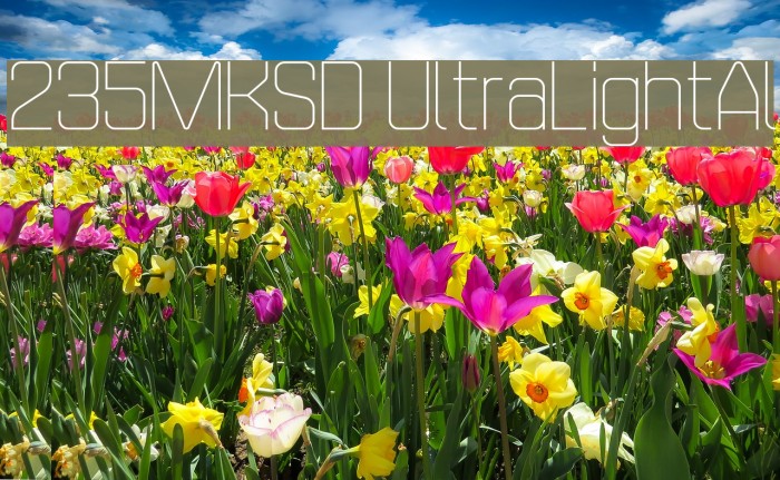 235MKSD UltraLightAl Example 1