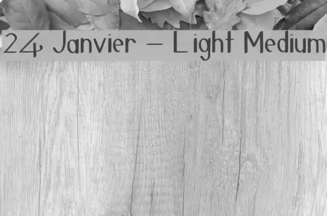 24 Janvier - Light Medium Polices examples
