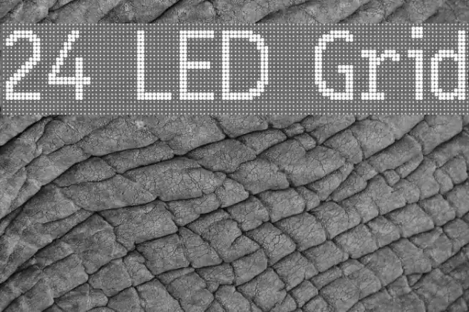 24 LED Grid Fonte examples