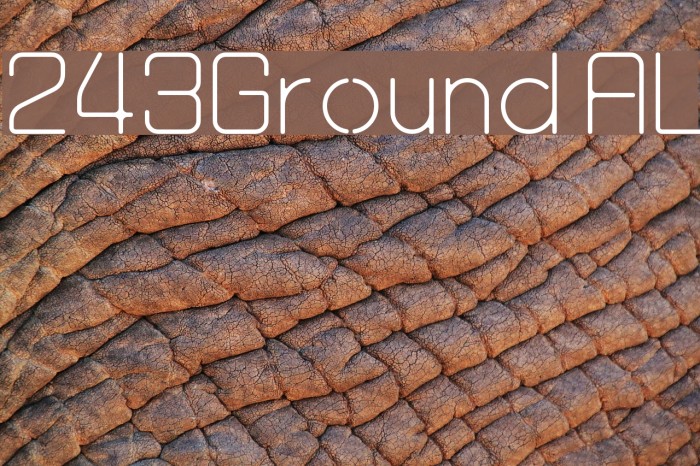 243Ground AL Example 2