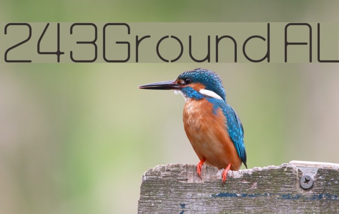 243Ground AL Example 3