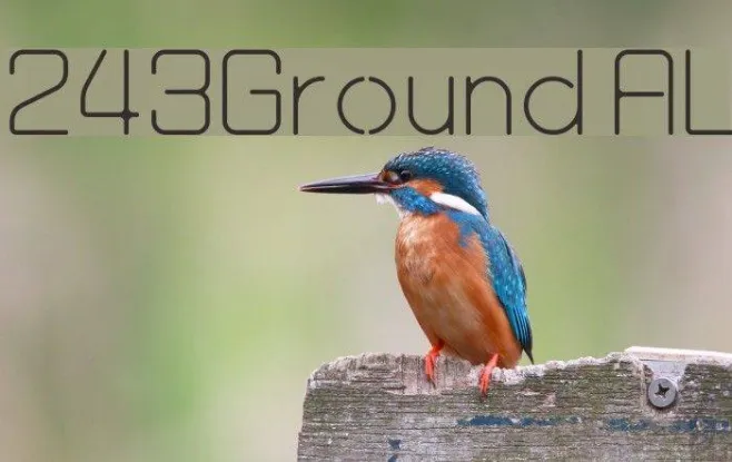 243Ground AL Example 3