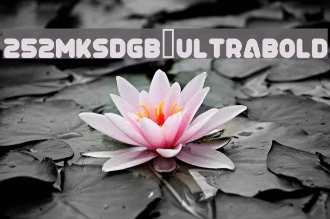252MKSDGB UltraBold Example 2